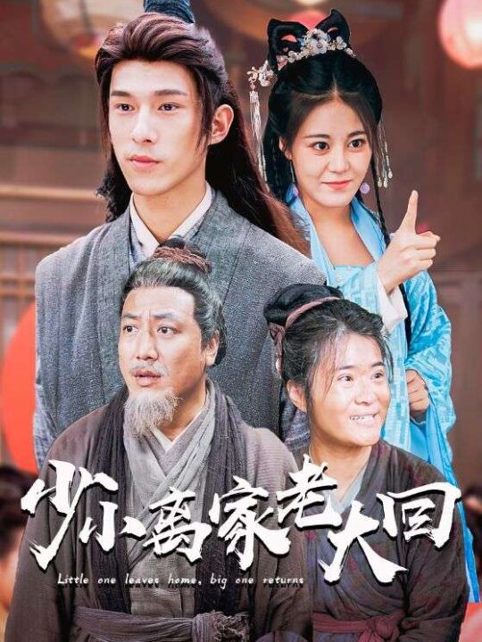 10605-少小离家老大回(86集)