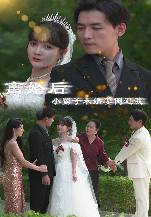 10511-离婚后-小舅子未婚妻倒追我(30集)