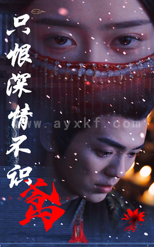 11116-只恨深情不识鸢(83集) 最新 图1张