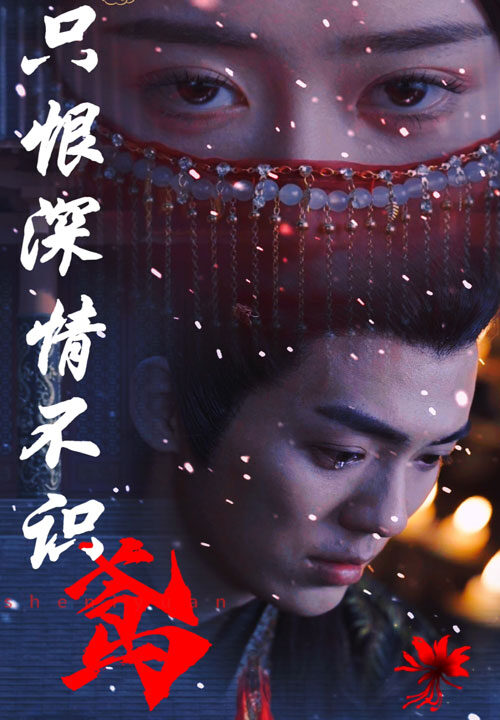 11116-只恨深情不识鸢(83集)