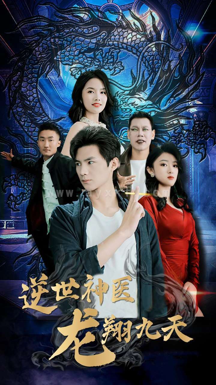 10739-逆世神医龙翔九天(96集) 最新 图1张