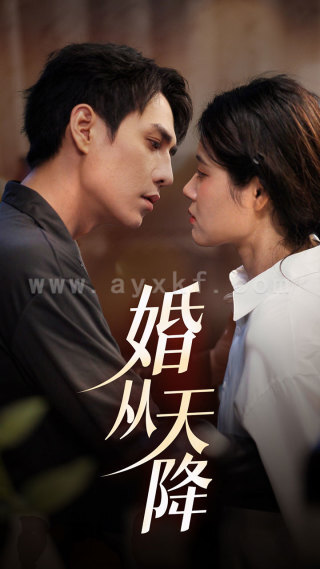 11275-婚从天降(92集)张雨晴