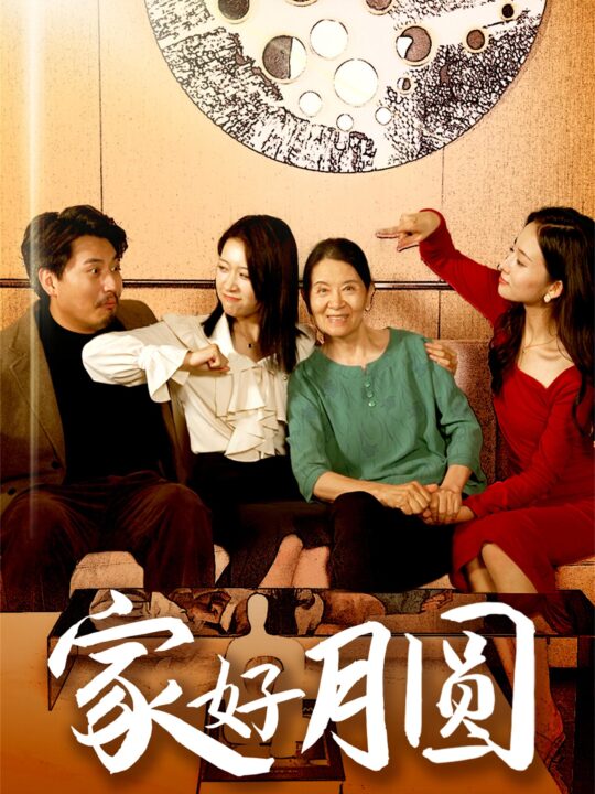 11324-家好月圆(31集)