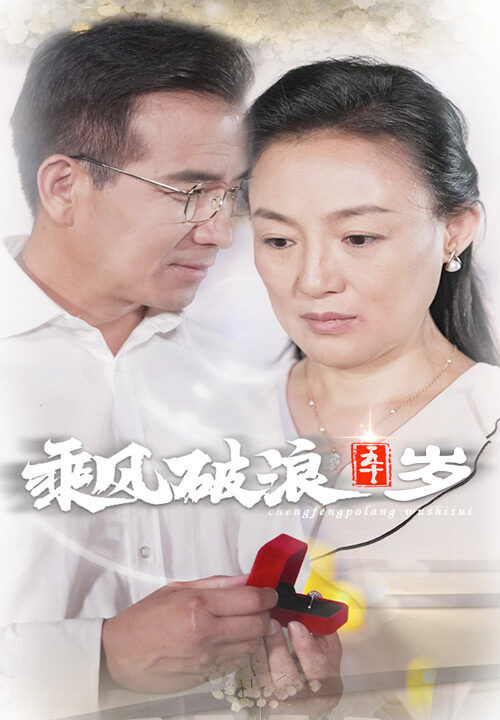 10531-乘风破浪五十岁(30集)