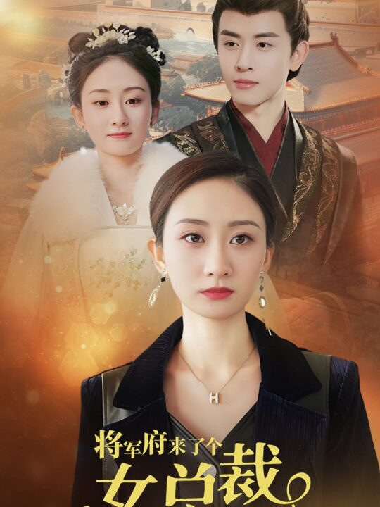 11083-将军府来了个女总裁(88集)