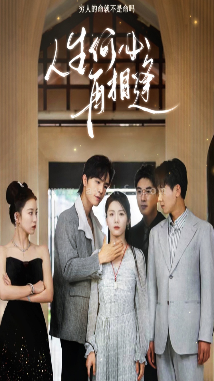 10464-人生何必再相逢(80集) 最新 图1张