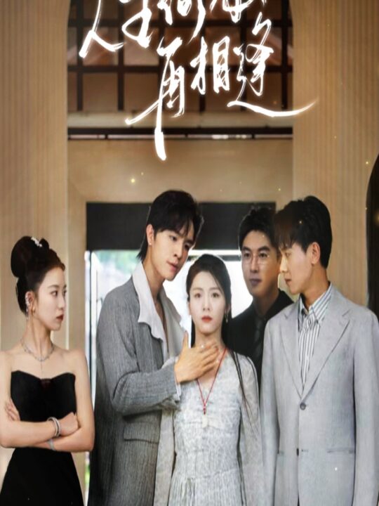 10464-人生何必再相逢(80集)