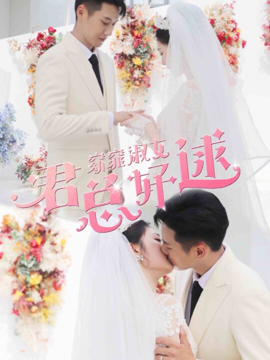 10593-窈窕淑女君总好逑(85集)潘欣懿