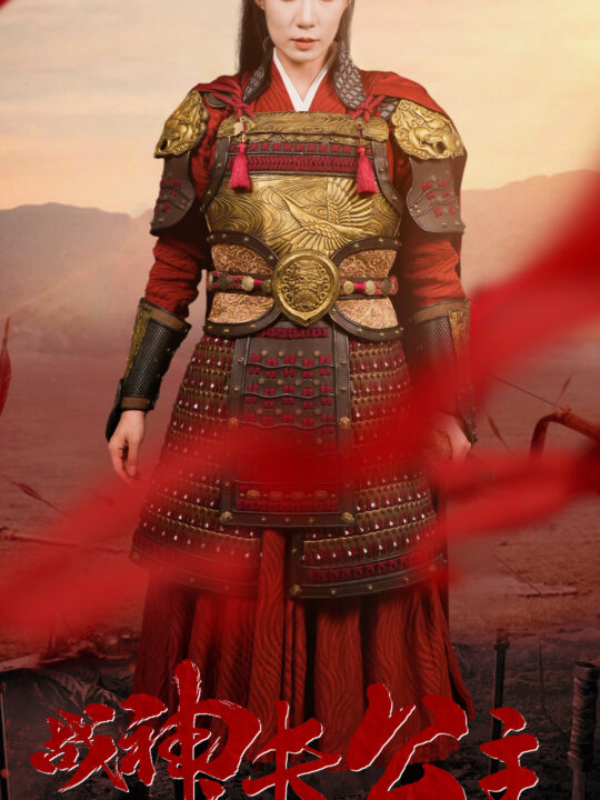 11088-战神长公主(60集)