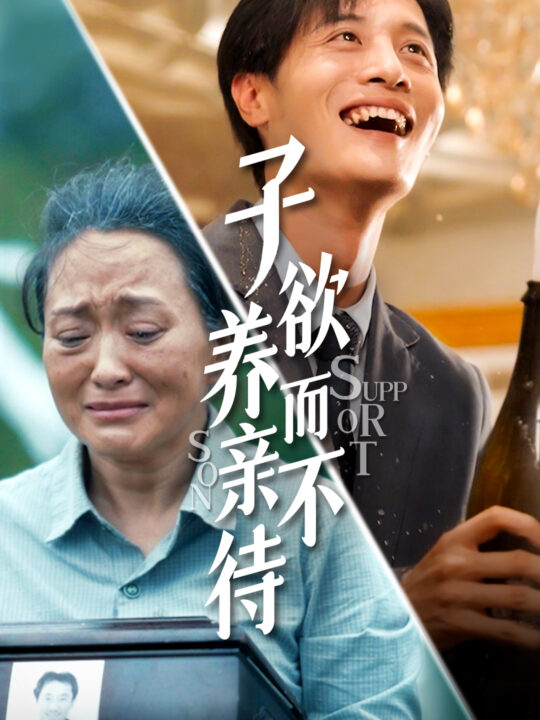 10636-子欲养而亲不待(42集)