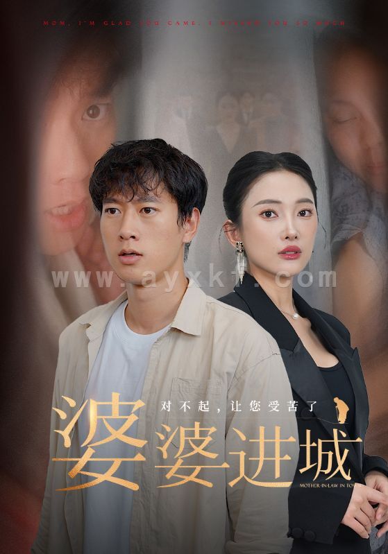 11369-婆婆进城(86集)程美华可凡 最新 图1张