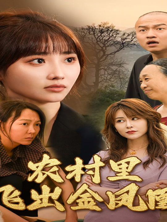 10817-农村里飞出金凤凰(68集)许梦圆