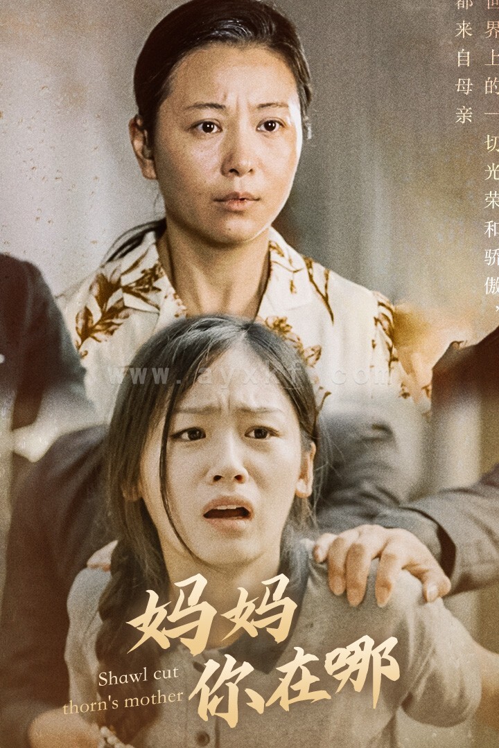 11128-妈妈你在哪&春风不改旧时波(70集) 最新 图1张