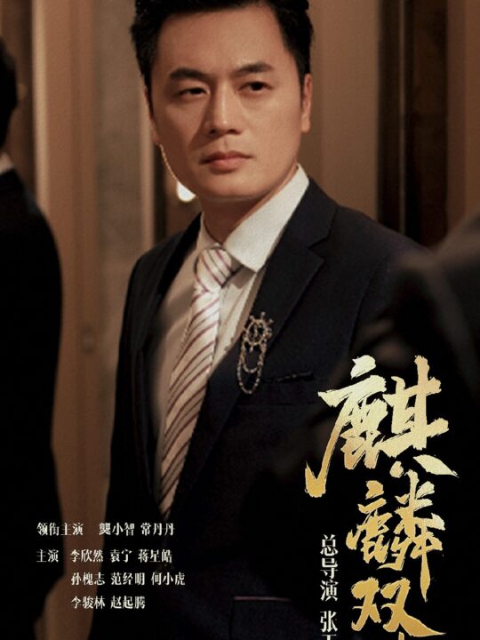 11181-麒麟双生(55集)常丹丹