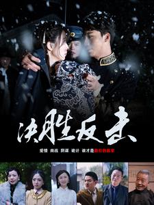 11347-决胜反击(89集)