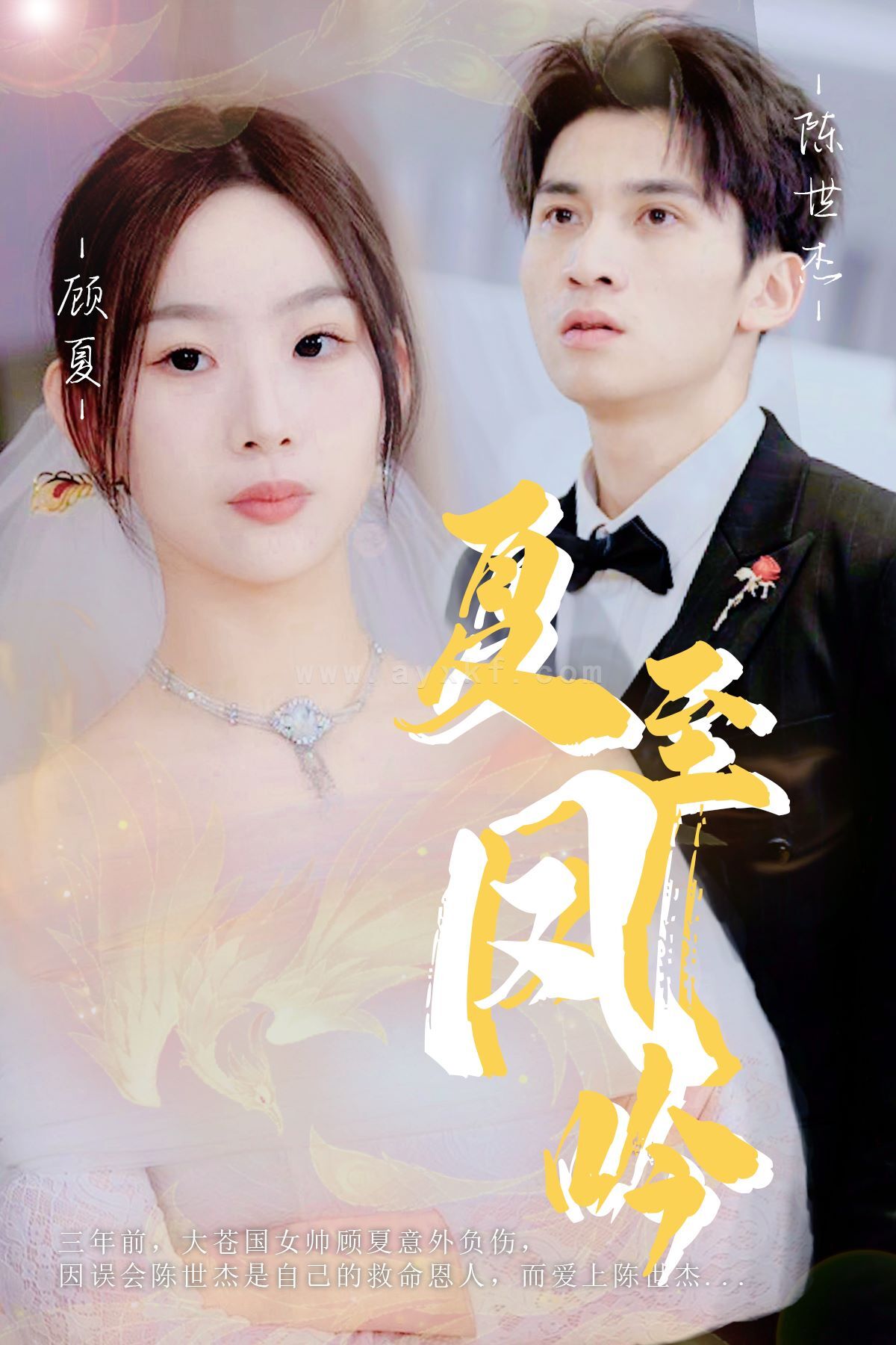 10789-夏至凤吟(60集) 最新 图1张