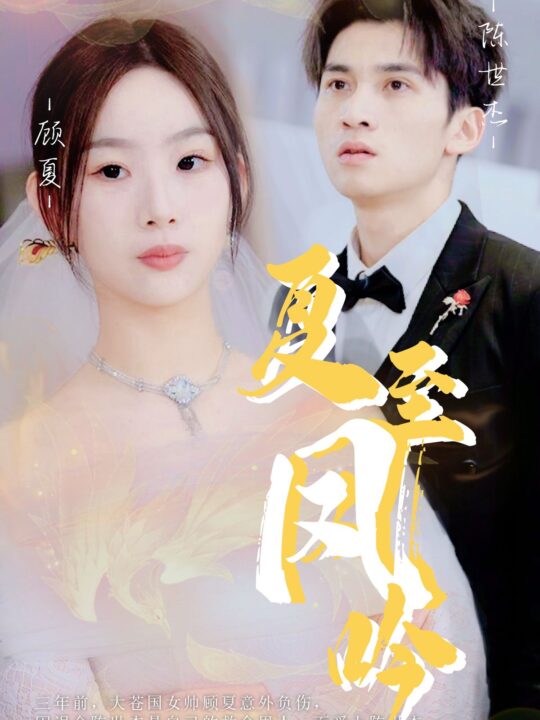 10789-夏至凤吟(60集)