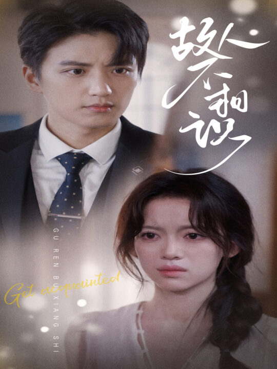 10513-故人不相识(80集)