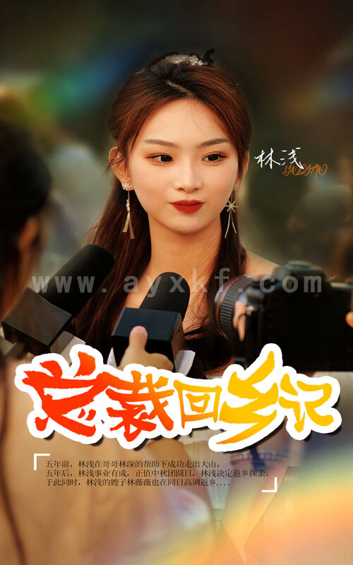 10928-总裁回乡记(67集) 最新 图1张