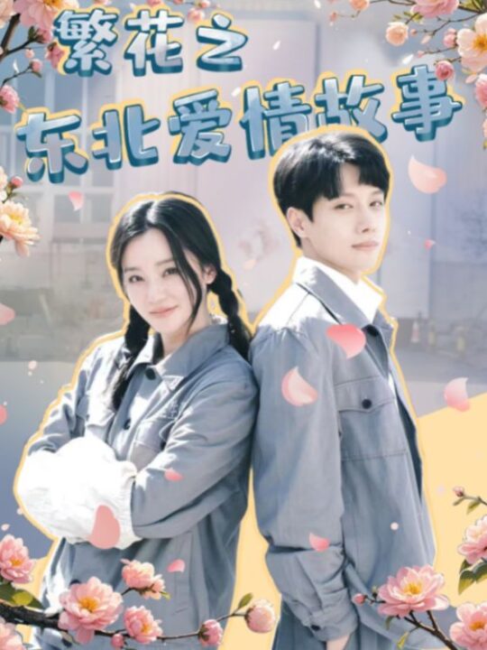 11408-繁花之东北爱情故事(56集)