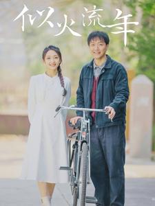 11210-似火流年(100集)