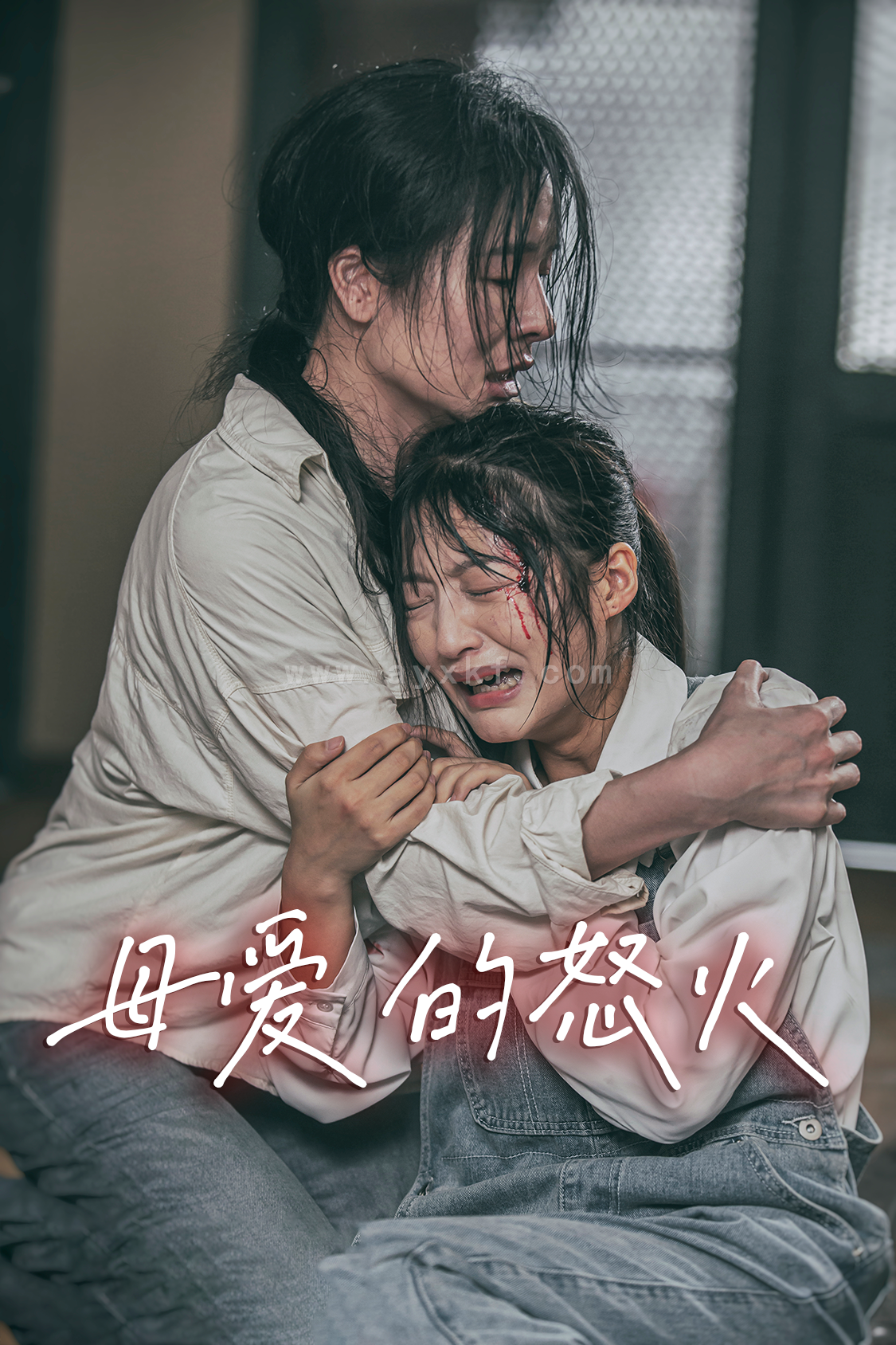 10977-母爱的怒火(28集) 最新 图1张