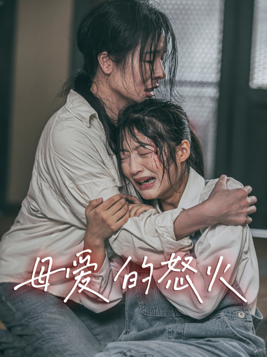 10977-母爱的怒火(28集)
