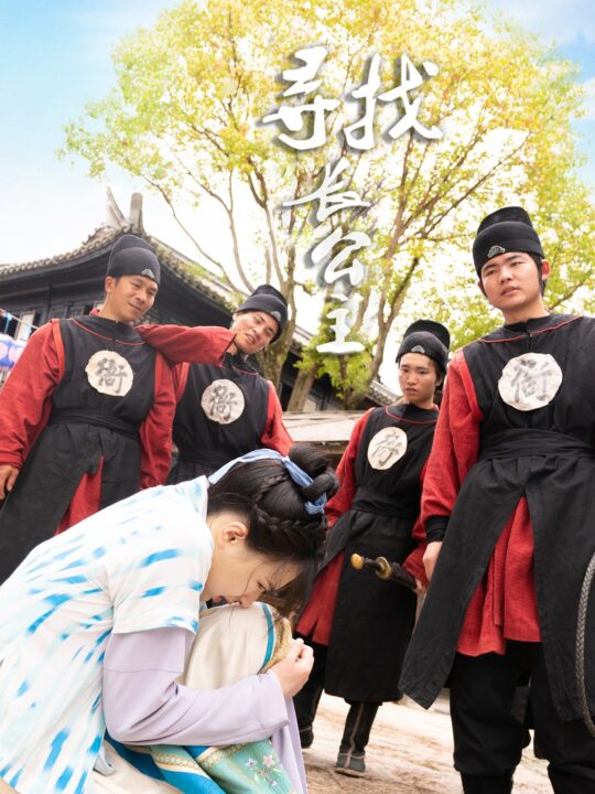 10466-寻找长公主(66集)