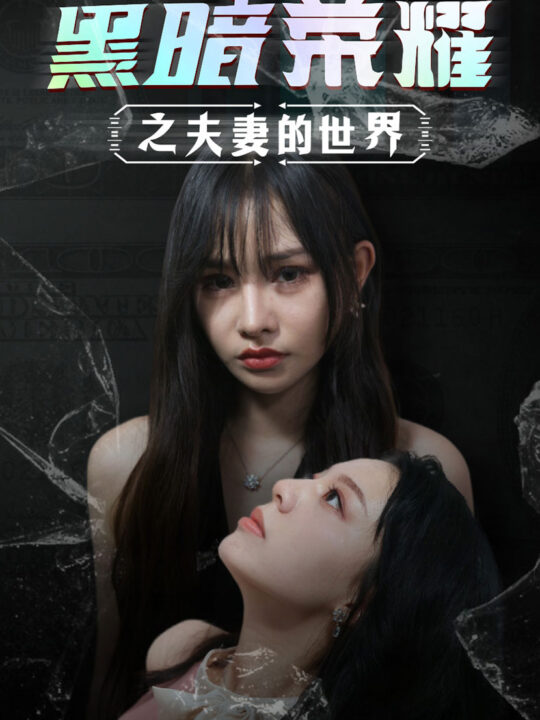 11058-黑暗荣耀之夫妻的世界(30集)