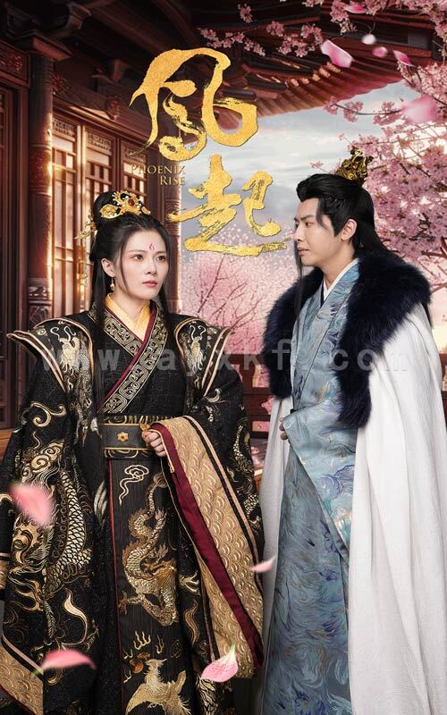 11304-凤起(81集) 最新 图1张