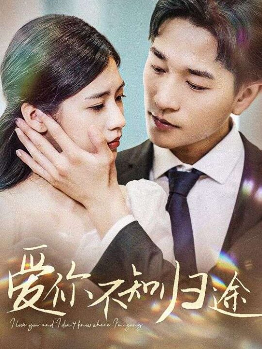 11358-爱你不知归途$爱你漫漫长路(42集)张潇予