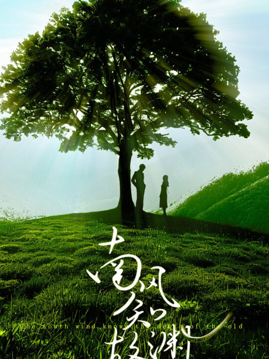 10757-南风知故渊(80集)
