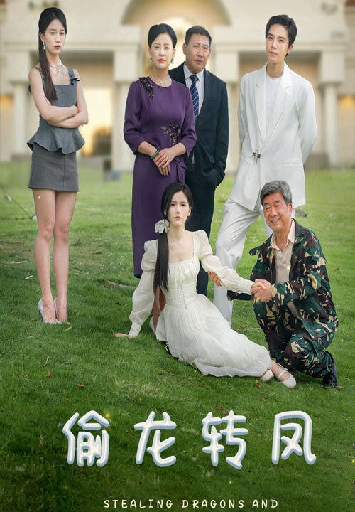 11182-偷龙转凤(80集)