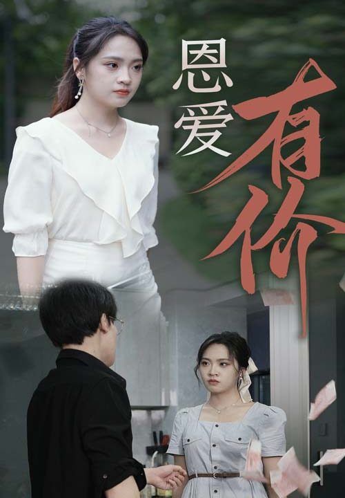 10911-恩爱有价(31集)