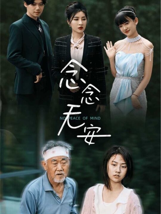 11367-念念无安(65集)