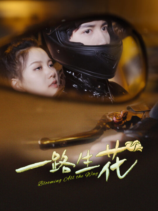 11021-一路生花(60集)