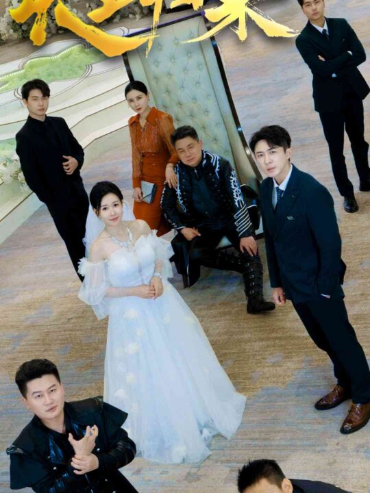 10963-天王归来(35集)马祈欣