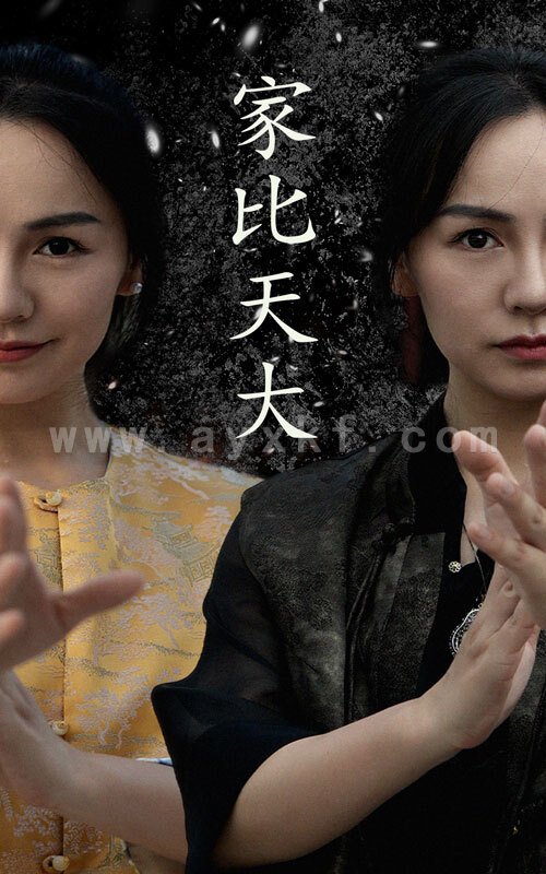 10854-家比天大(63集) 最新 图1张