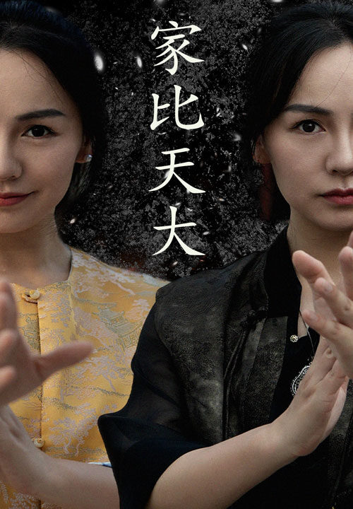 10854-家比天大(63集)