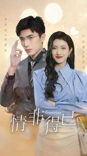 11012-情非得已(60集)卢c鹿鹿 最新 图1张