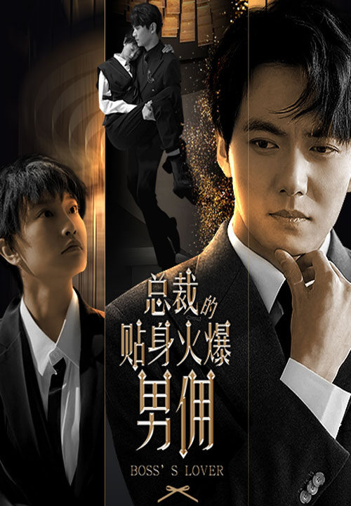 11260-总裁的贴身火爆男佣(80集)