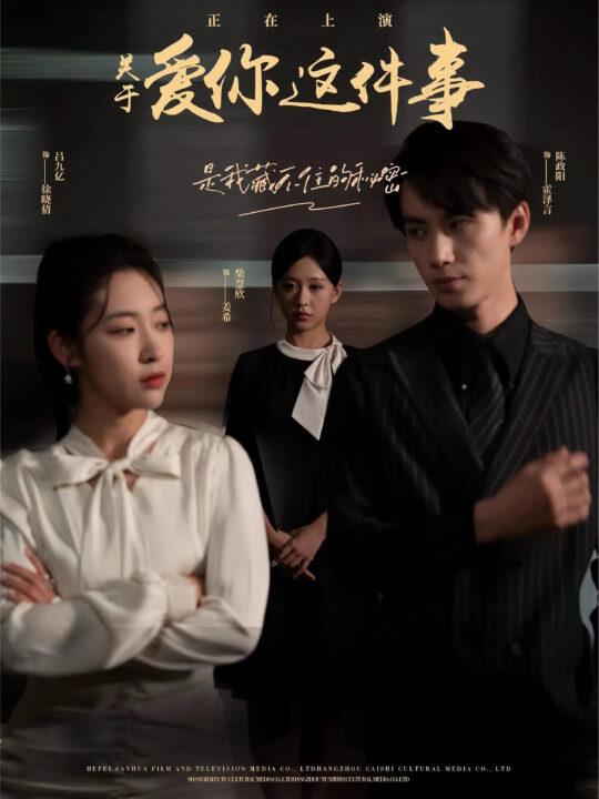 10595-关于爱你这件事(83集)柴慧欣