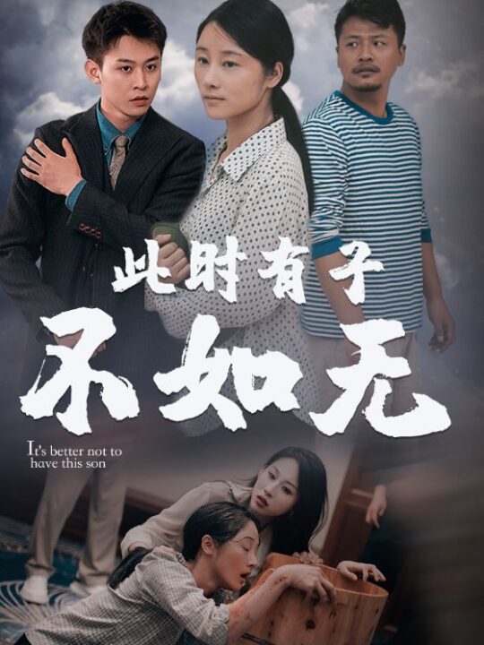 11205-此时有子不如无(96集)丁磊