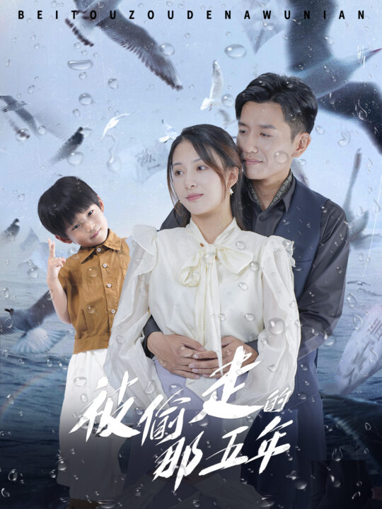 10845-被偷走的那五年(70集)