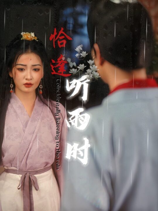 11095-恰逢听雨时(30集)