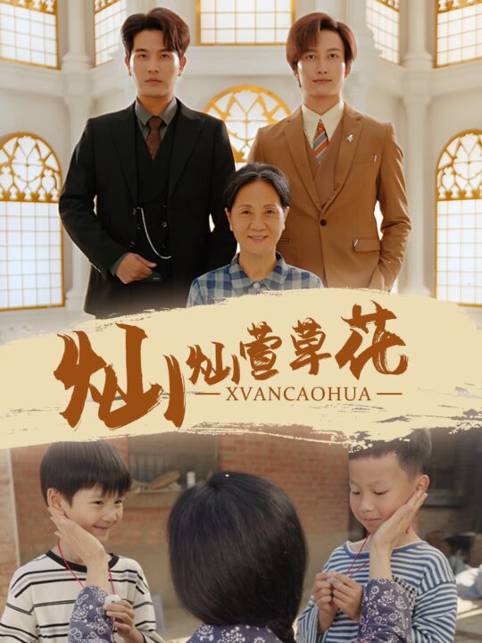 10804-灿灿萱草花(72集)