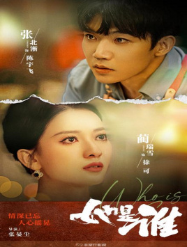 10565-她是谁(35集)张北淅