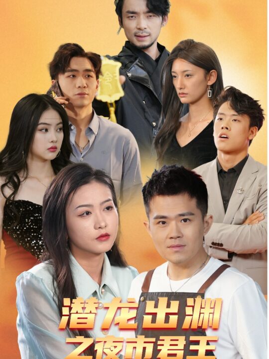 10537-潜龙出渊之夜市君主(94集)
