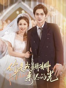 9412-你是我姗姗来迟的光(99集)