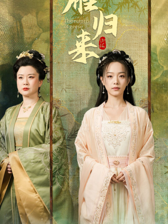 9743-雁归来(65集)